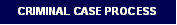 Criminal Case Process